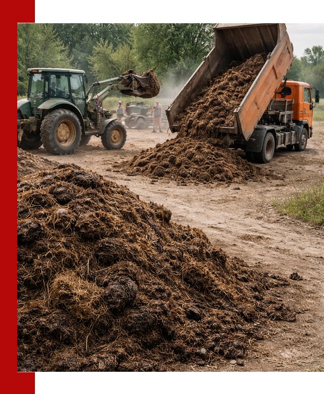 Доставка навоза самосвалами в Кунгуре для сельхозпотребностей