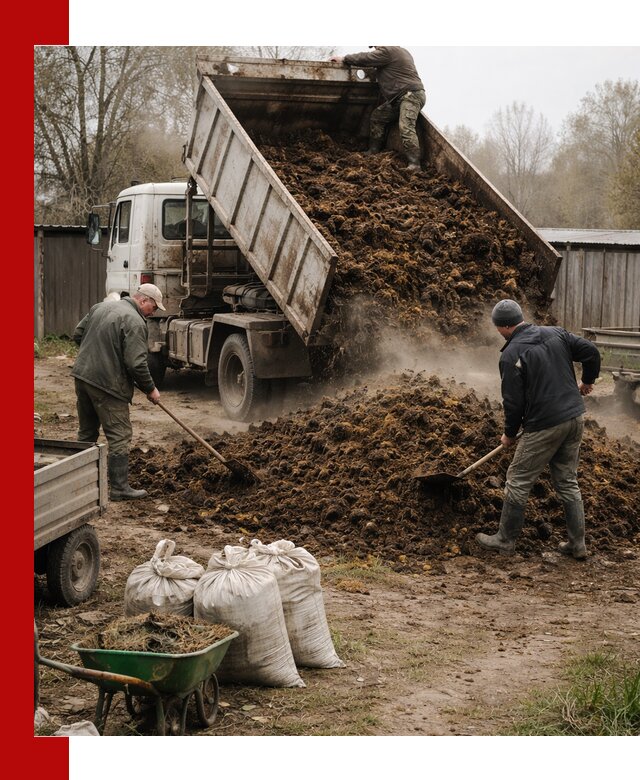 Доставка коровьего навоза самосвалом в Кунгуре